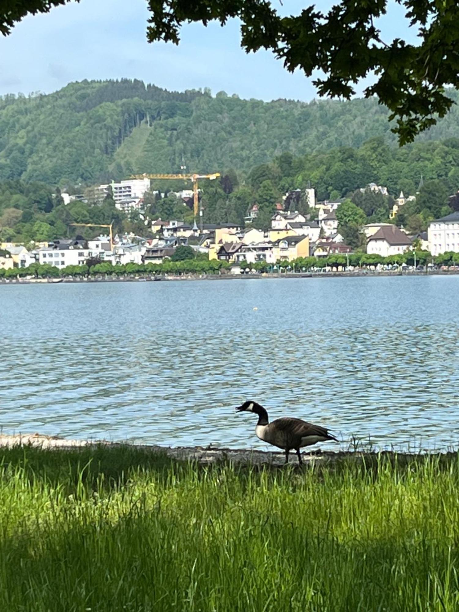 Altstadtjuwel In Gmunden Am Traunsee מראה חיצוני תמונה