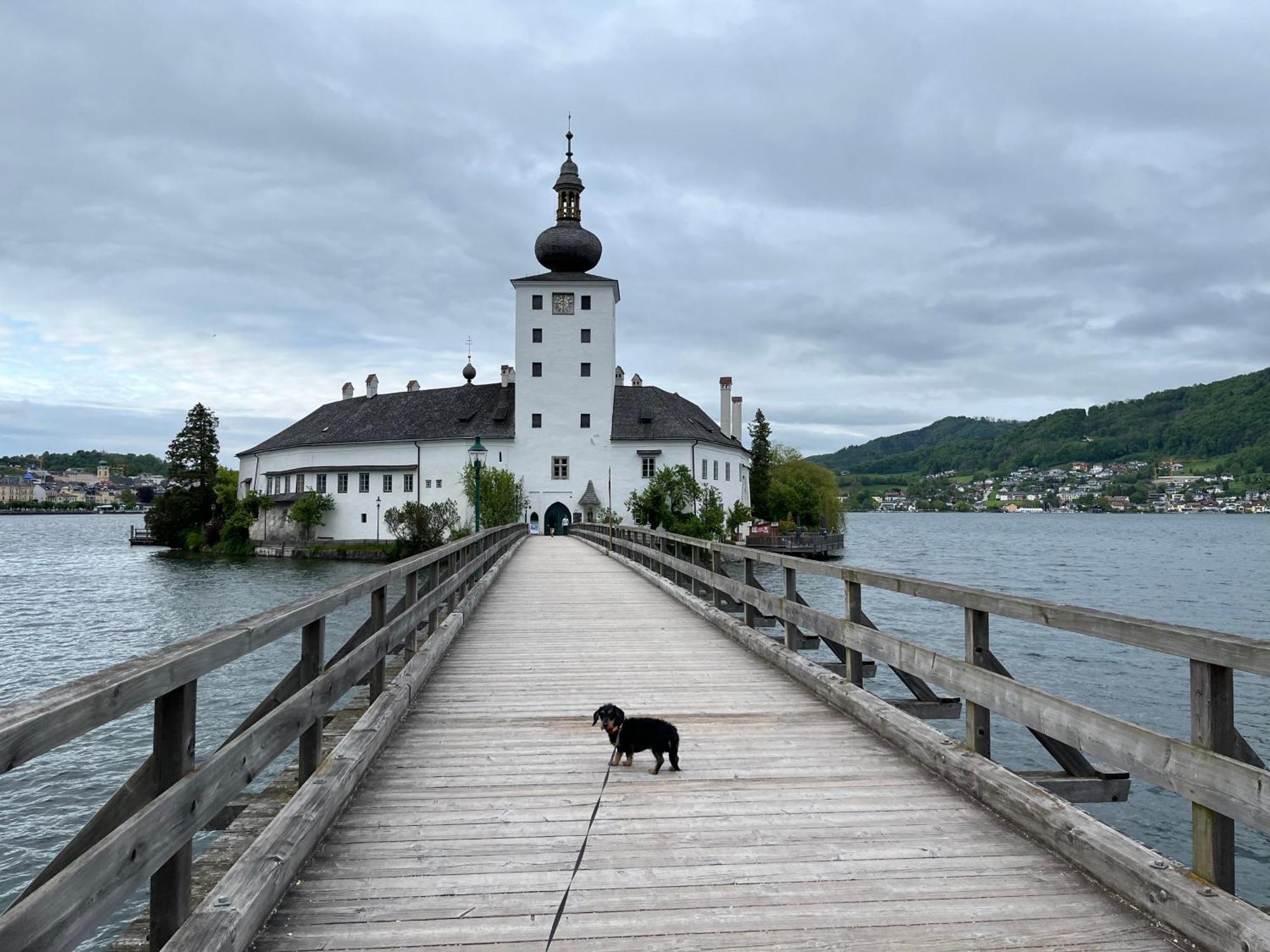 Altstadtjuwel In Gmunden Am Traunsee מראה חיצוני תמונה