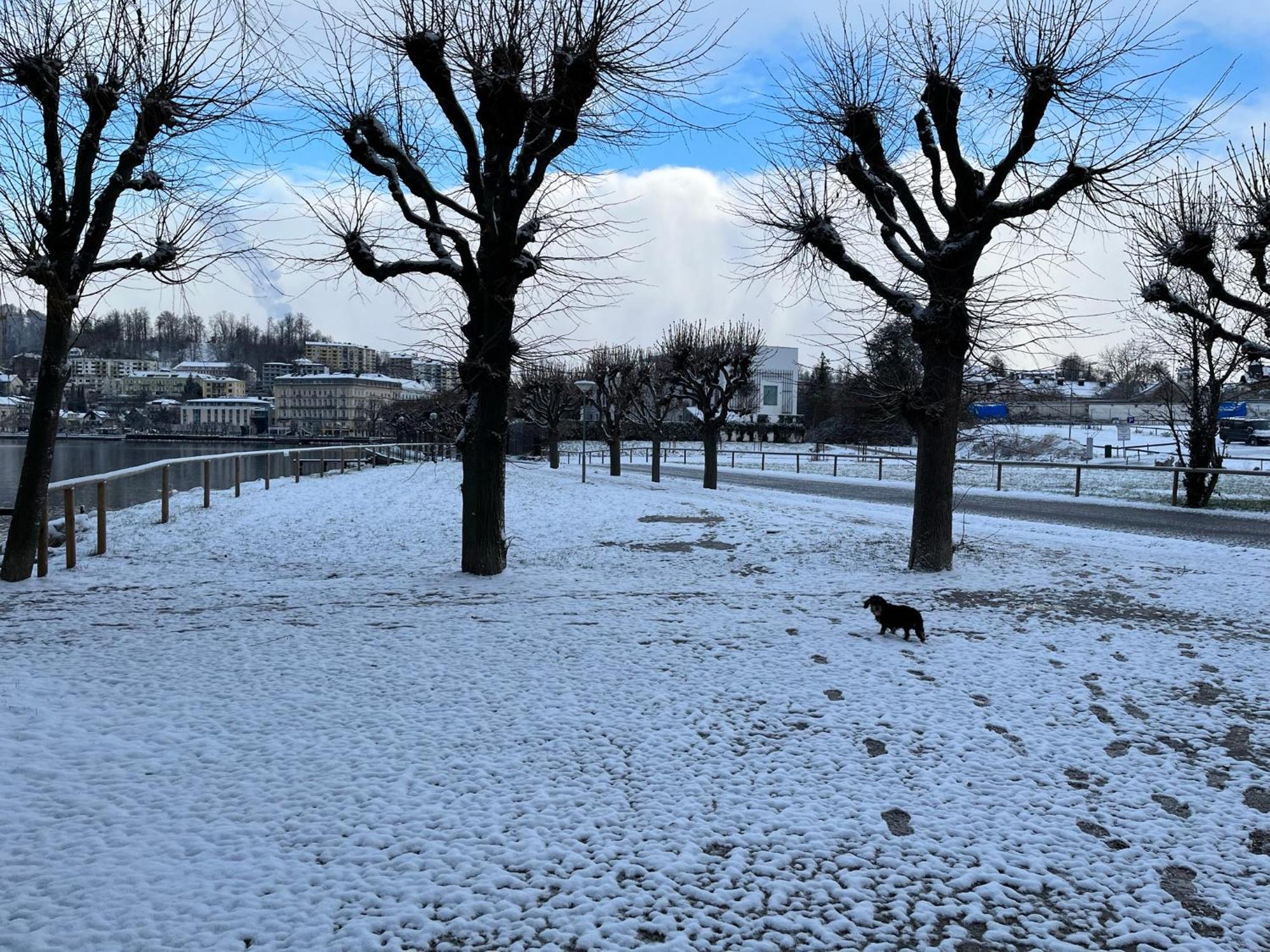 Altstadtjuwel In Gmunden Am Traunsee מראה חיצוני תמונה